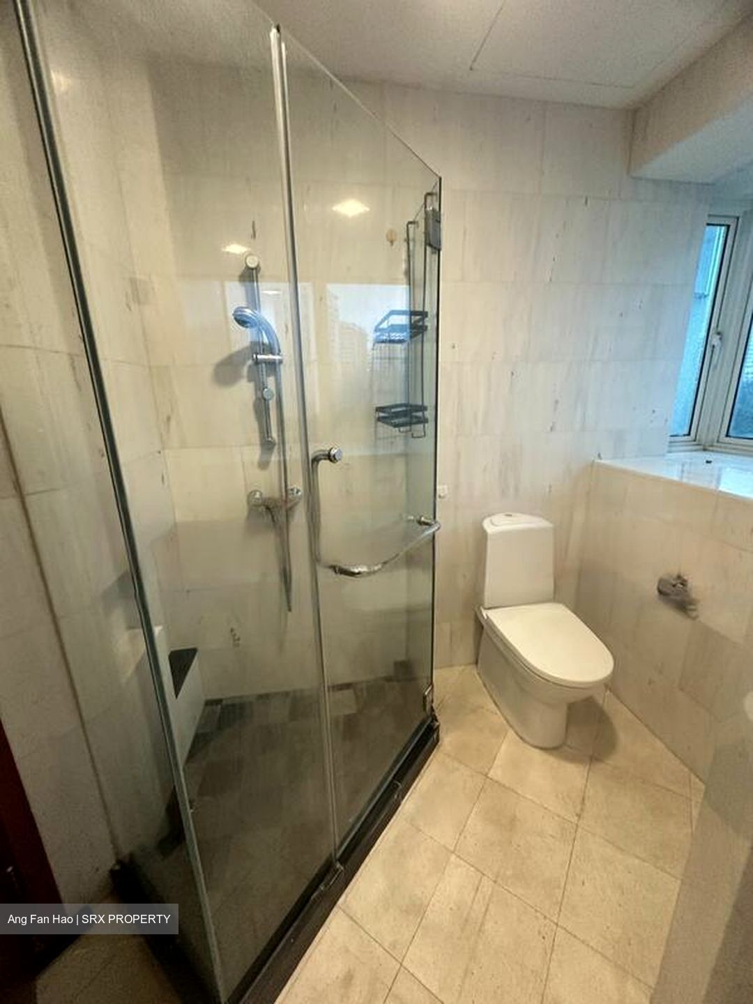 Cote D'Azur (D15), Condominium #503901051